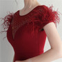 Mesh Beaded + Embellished Feather Star Red Carpet Long Evening Gown