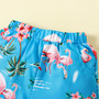 Boys Summer Holidays Baby Trendy Kids Flamingo Short Sleeve Shirt Shorts Set