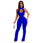 Women Solid Sexy Halter Neck Cutout Jumpsuit