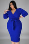 Plus Size Women Long Sleeve Style V Neck Bodycon Dress