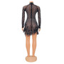 Women's fashion sheer fringed mesh beaded dress