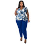 Ladies Printed V-Neck Top and Pant Casual Two-Piece Set