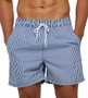 Printed Shorts Summer Quick Dry Casual Loose Sport Holidays Men's Beach Shorts