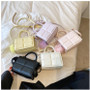 Women Summer Popular Messenger Bag Mini Portable Small Square Bag