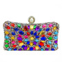 Women Multi-Color Beaded Evening Bag