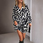 Women's Autumn/Winter Casual Print V-Neck Dress