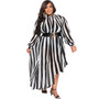 Plus Size Women's Long Sleeve Dress Round Neck Print Fashion Sexy Dress