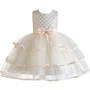 Girls' one-year-old dress skirt flower girl girl high-end princess birthday dress