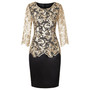 Plus Size Women's Chic Lace Patchwork Elegant Bodycon Dress