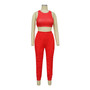 Fashion Ladies Sleeveless Solid Color Tracksuit Casual Two Piece Set