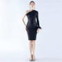 Women Ostrich Feather Slash Shoulder Long Sleeve Evening Dress