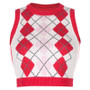 Women Solid Plaid Sleeveless V-Neck Sweater