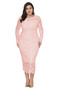 Plus Size Women Long Sleeve Lace Dress