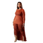 Plus Size Women Casual Long Sleeve Top and Pant Two Piece