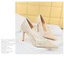 Formal Party Women's Shoes Slim Fit High Heels Pointed Toe Stiletto High Heels Mesh Hollow Lace Shoes