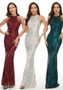 Chic Sequined Mermaid Gown Elegant Formal Party Evening Dress