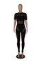 Women's Mid Neck Sexy See-Through Mesh Patchwork Short Sleeve Slim Fitted Ladies Jumpsuit