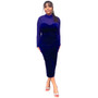 Long Sleeve Chic Mesh Patchwork Fit Women's Long Sleeve Midi Bodycon Dress