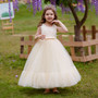 Girls Long Dress Puffy Princess Dress Flower Girl Mesh Birthday Wedding Dress