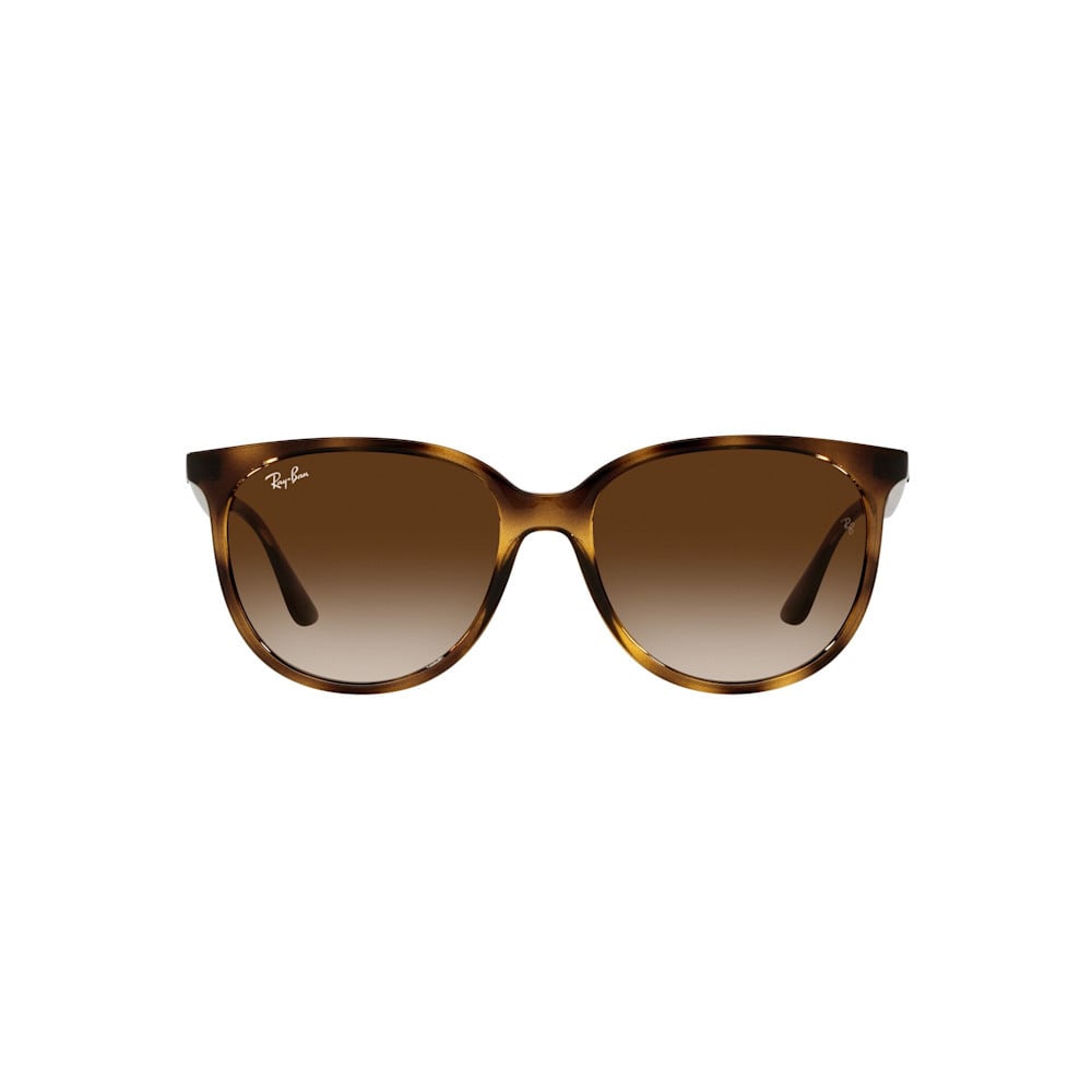 54 Brown Havana-Gradient Brown