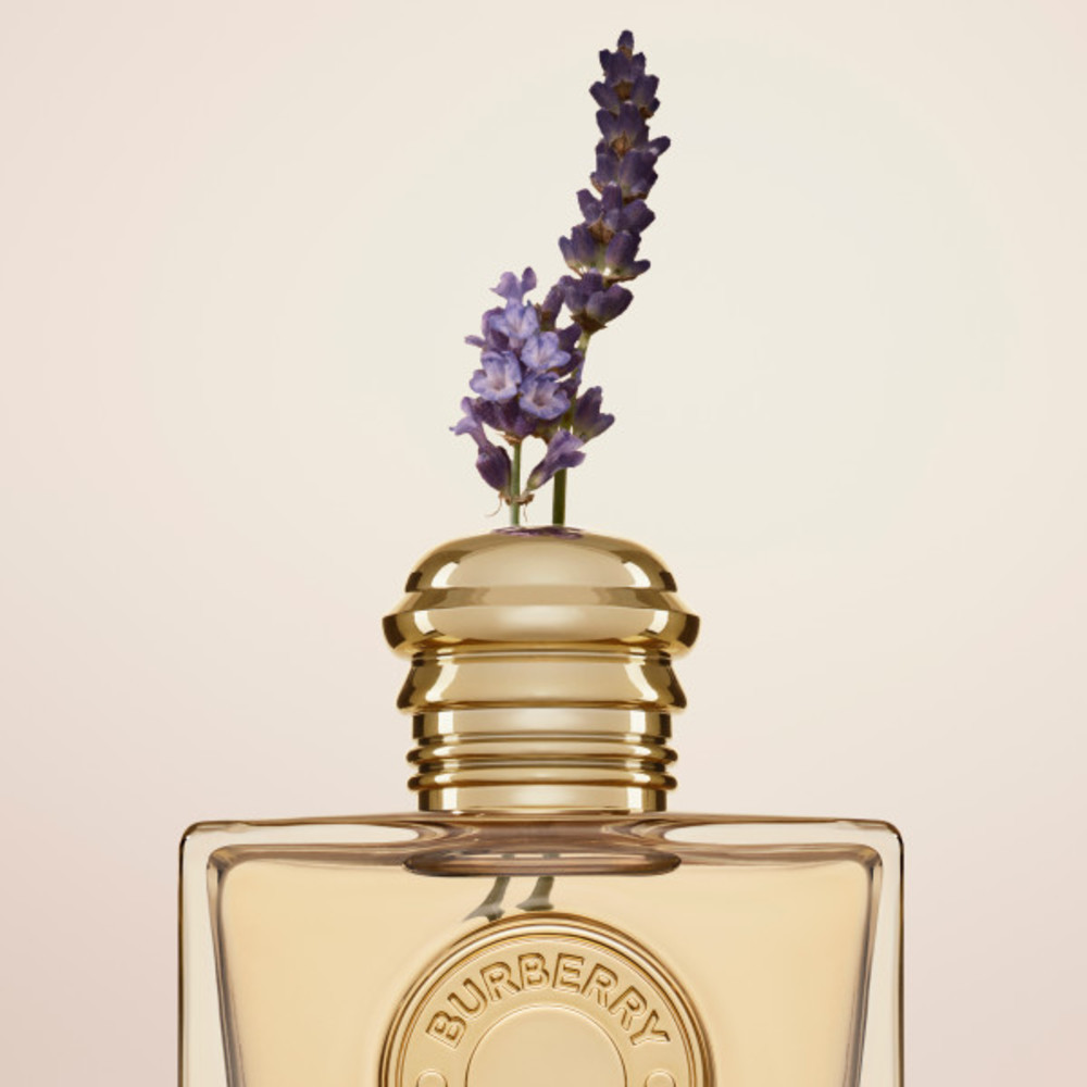 博柏利女神浓烈- 6445022 - Milano Malpensa Boutique