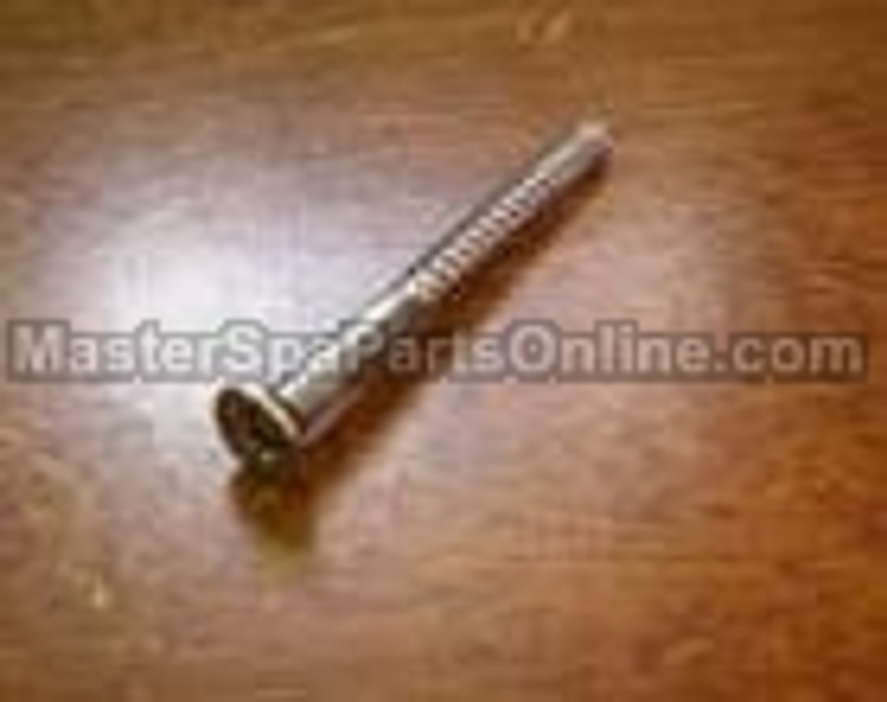 Master Spa - X716496 - 8x2" PH FL 18.8 SS Wood Screw for Skirting