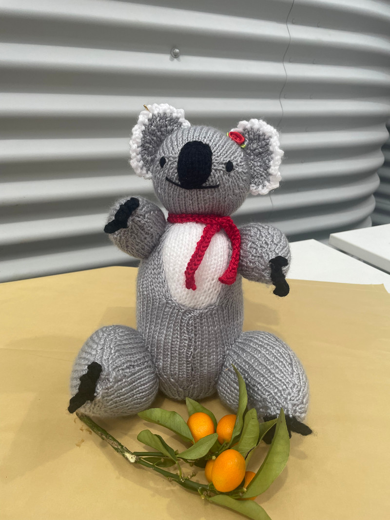 Nothing can beat the cuteness of the Knitted Koala toy when it comes to finding a delightful gift for your little ones. This charming creature is crafted from soft and cozy yarn, and it has a friendly face that will melt your children’s hearts. The Knitted Koala toy is ready to join your children in their adventures, whether they want to play in the farm, explore the outback, or cuddle in bed. This toy is not only cuddly, but also magical – it will spark your children’s imagination and creativity!