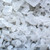 Bulk Salt