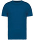Native Spirit Heavyweight T-Shirt - Royal Blue - NS305