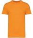 Native Spirit Heavyweight T-Shirt - Orange - NS305