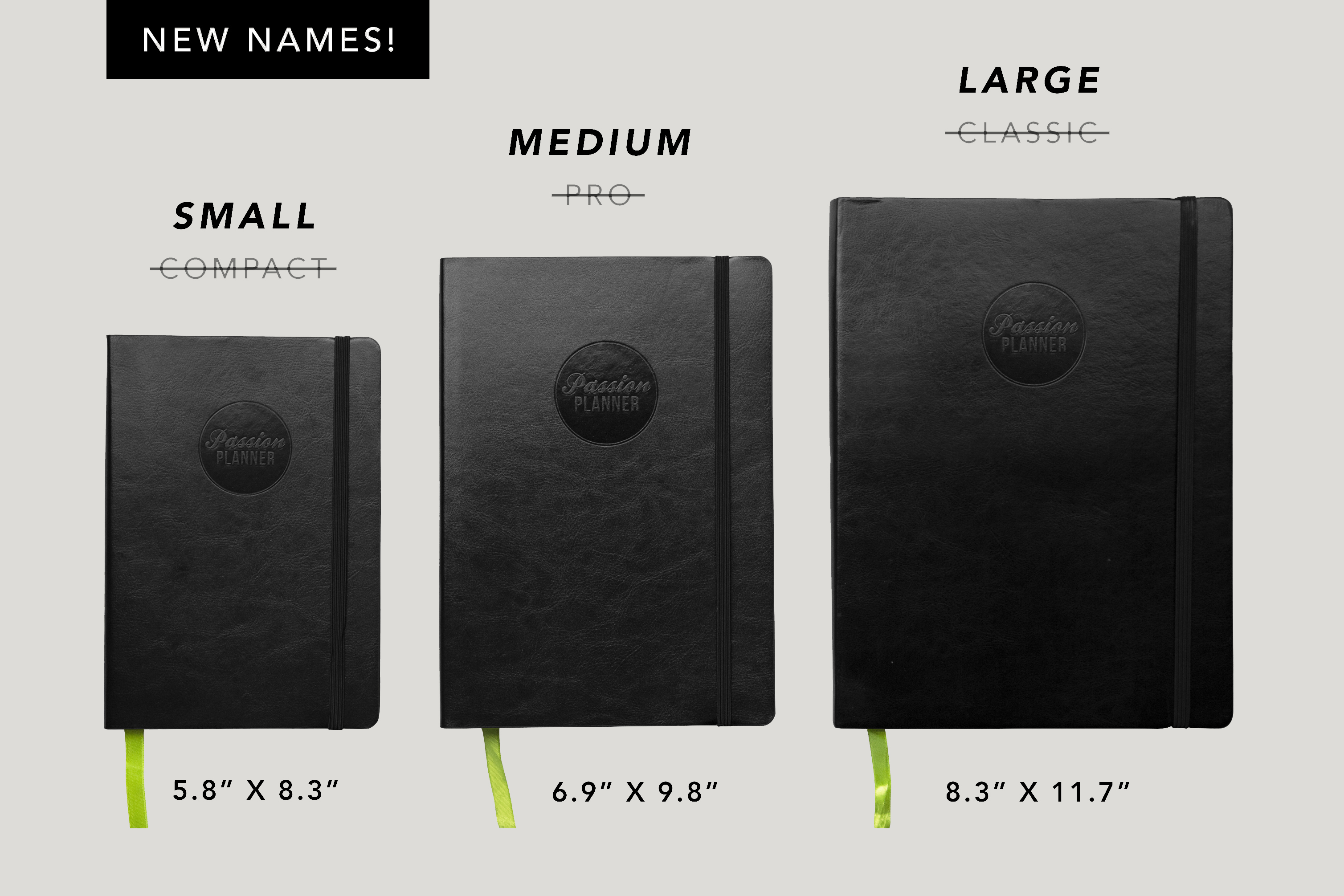 2020 Dated Brilliant Blush