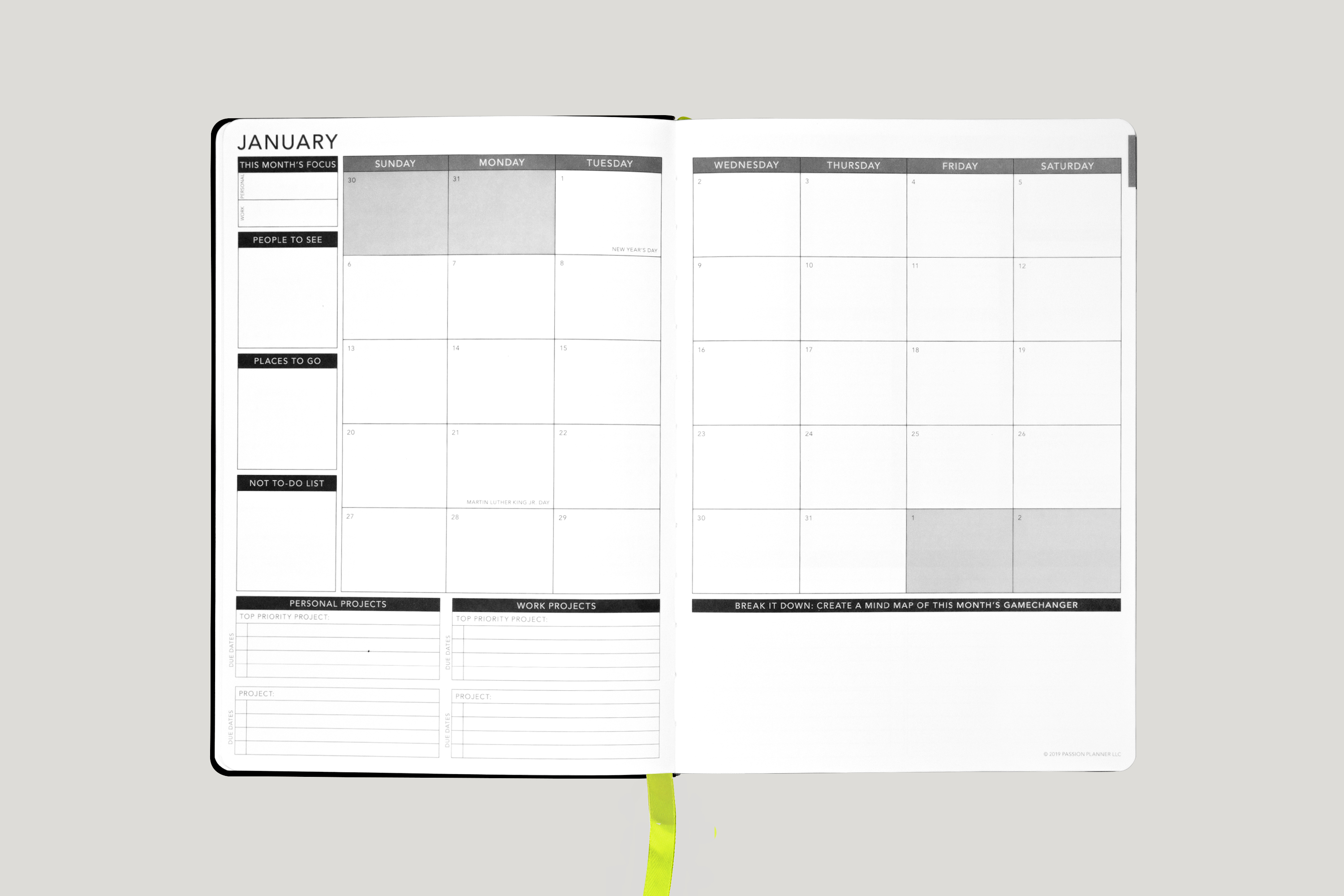 2020 Dated Brilliant Blush