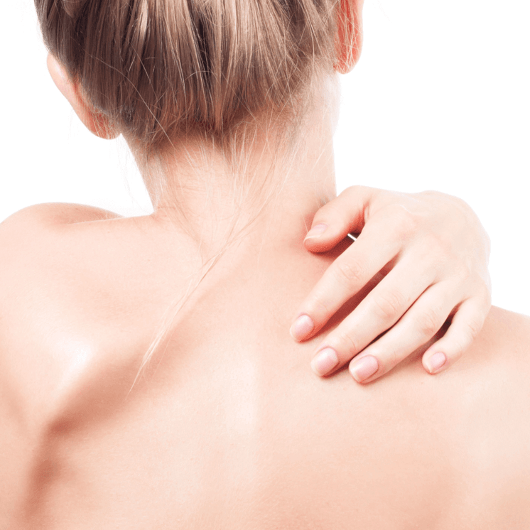 BodyFix: TrapTox