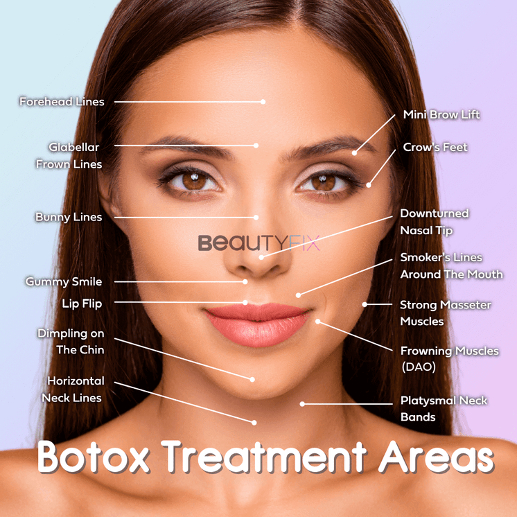 WrinkleFix: Bunny Lines