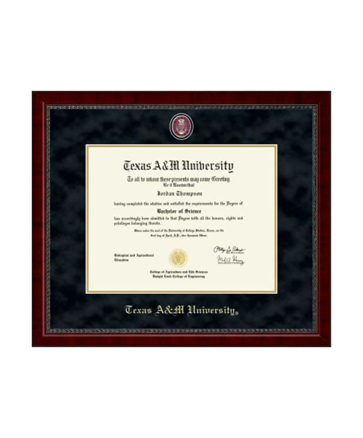 Church Hill Classics Black & Gold Masterpiece Medallion Sutton Diploma Frame Maroon U