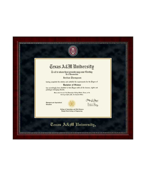 (In-Store Pickup Only) Church Hill Classics Masterpiece Medallion Sutton Diploma Frame - Black & Gold
