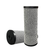 Group picture of two 20 inch carbon cartridge filters, 4.5 diam