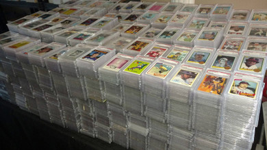 Over 8000 PSA slabs purchased - The Kentucky purchase