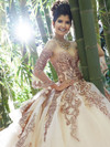Vizcaya Quinceanera Dress 89255
