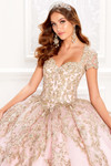 Queen Anne Neckline Princesa Quinceanera Dress PR22025