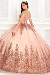 Jewel Neckline Princesa Quinceanera Dress PR22026