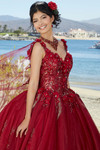 V-Neck Tulle Vizcaya Quinceanera Dress by Morilee 89362