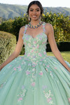 3D Floral Vizcaya Quinceanera Dress by Morilee 89424