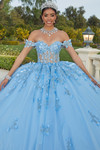 3D Floral Valencia Quinceanera Dress by Morilee 60181