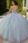 Glitter Tulle Valencia Quinceanera Dress by Morilee 60184