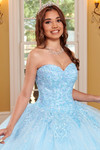 Floral Strapless Quinceanera Dress by Rachel Allan RQ1116