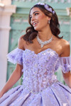 Strapless Princesa Quinceanera Dress by Ariana Vara PR30134