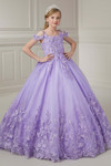 Tiffany Princess Butterfly Embroidery Lace Girls Pageant Dress 13733