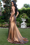 Bronze gown shown from the back, highlighting the strapless neckline and flowing satin train.