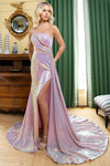 Rachel Allan 70930 Pink Iridescent — full-length back angle displaying sweep train and overall shimmer.